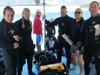 Group of divers