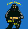 Dolphin Dive Team