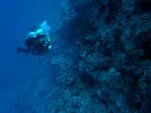 Technical Diver