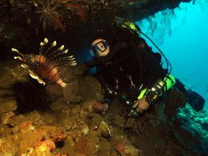 Lion fish & rebreather diver