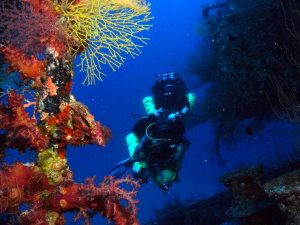 Tec divers on the Taiyong wreck