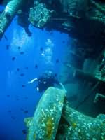 Diver by wreck