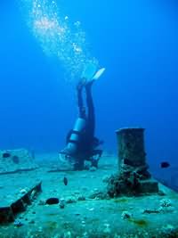 Upsidedown diver