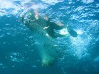 Illegal fishing net