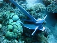 Anchor on coral