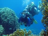 Escorted diver