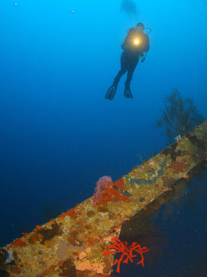 Taiyong wreck