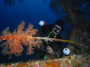 Taiyong wreck
