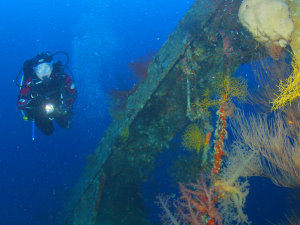 Taiyong wreck