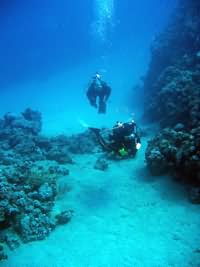 Diver in gulley