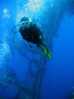 Diver on Cedar Pride