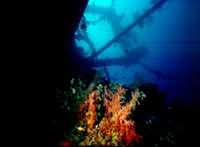 Close focus - wide angle Cedar Pride wreck