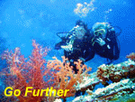 Keep diving