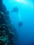 Descending to the deepest level Divers on wall