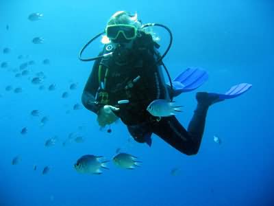 Knowing where you are makes diving more relaxing! Diver Guiding