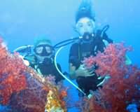 Divers on wreck
