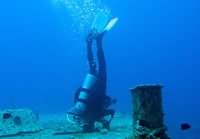 Investigating diver