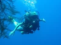 Diving into adventure
