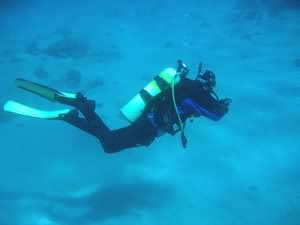 Diver Searching