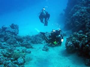 Deep dive