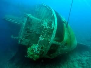 Stern