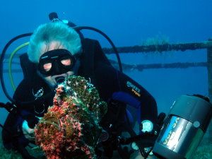 Frog fish and photographer
