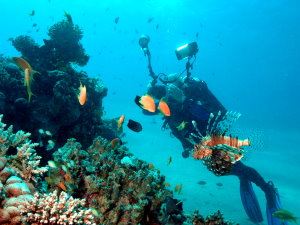 Lion fish and photographer