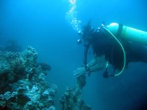 Diver over canyon
