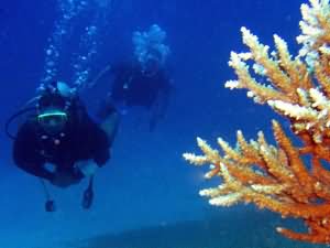 Divers over slope