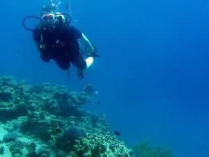 Diver over reef