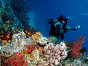 Underwater photographer