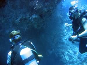 The glassfish overhang