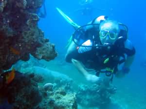 Diver by pinnacle