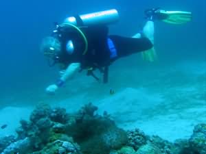 Diver over reef