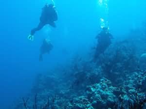 Divers on wall
