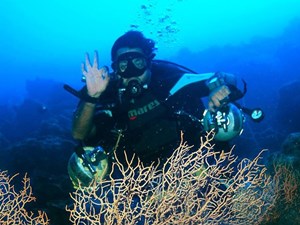 Tec Diver