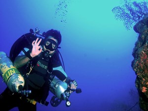 Tec Diver by wall