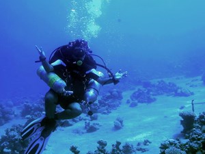 Decompressing diver