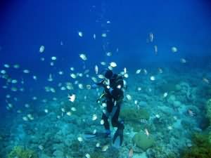 Diver with fish
