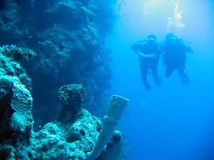 Tube sponge on wall