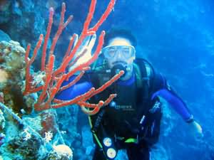 Diver by fire sponge