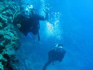 Divers on wall