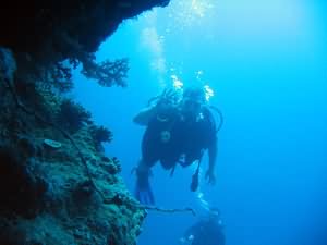 Divers on wall