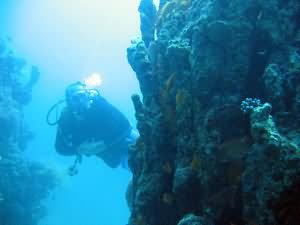 Diver by pinnacle