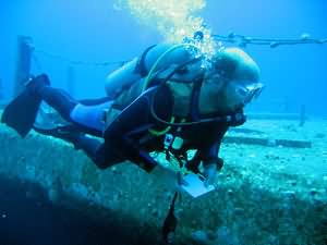 Survey diver