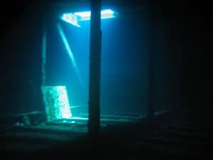 The hatch