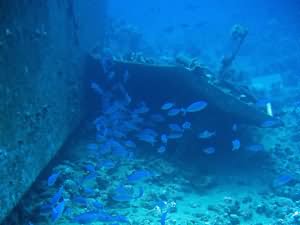 Aqaba's forgotten wreck