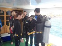 Boat diving