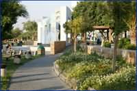 Aqaba Gardens