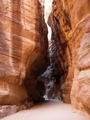 the siq